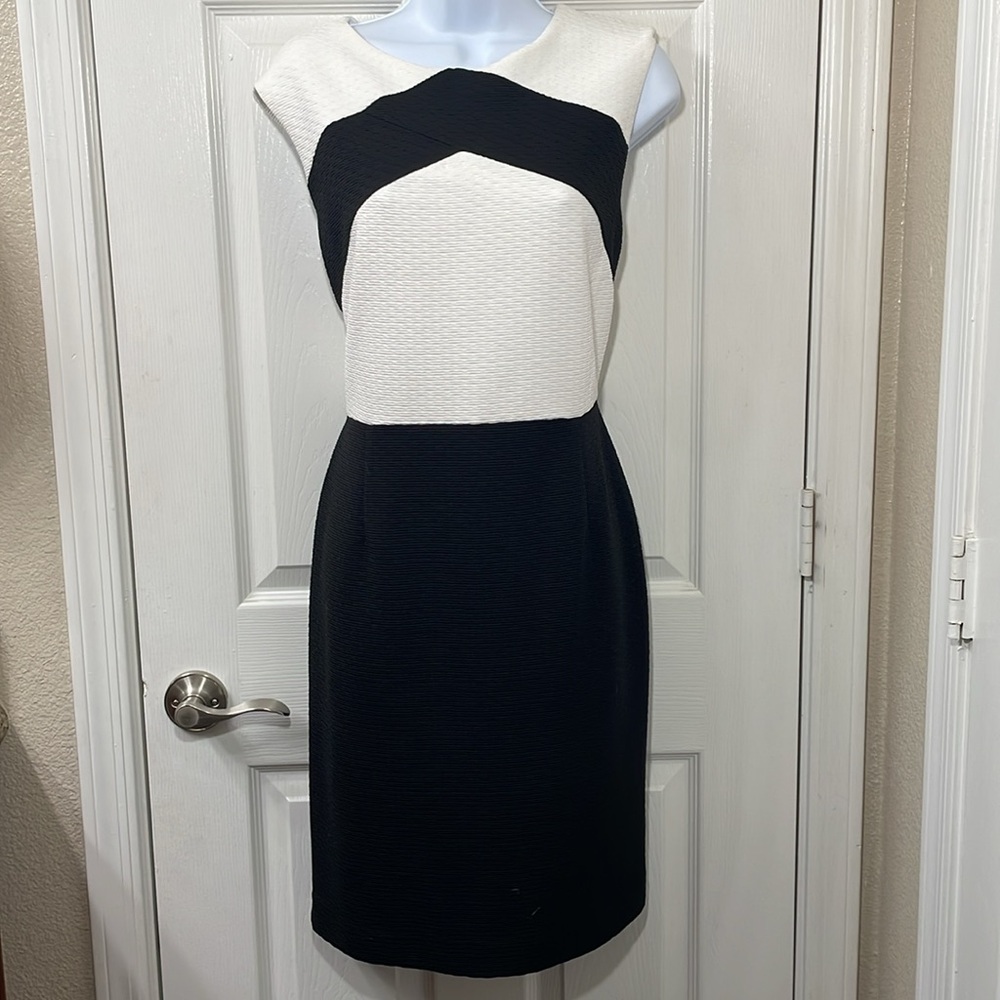 Calvin Klein Black and White Sleeveless Dress